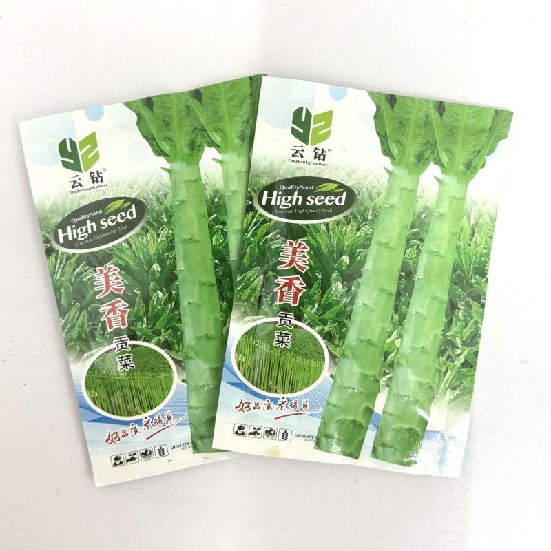 美香贡菜种子高温专用型新品种耐热耐湿贡菜优良品种绿皮绿心