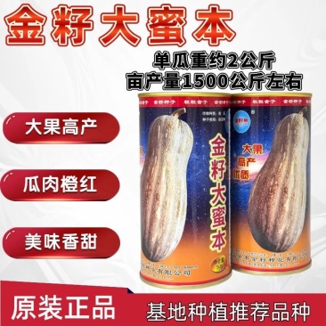 金籽大蜜本南瓜种子早熟大果蜜本南瓜种籽肉色橙红味甜抗病高