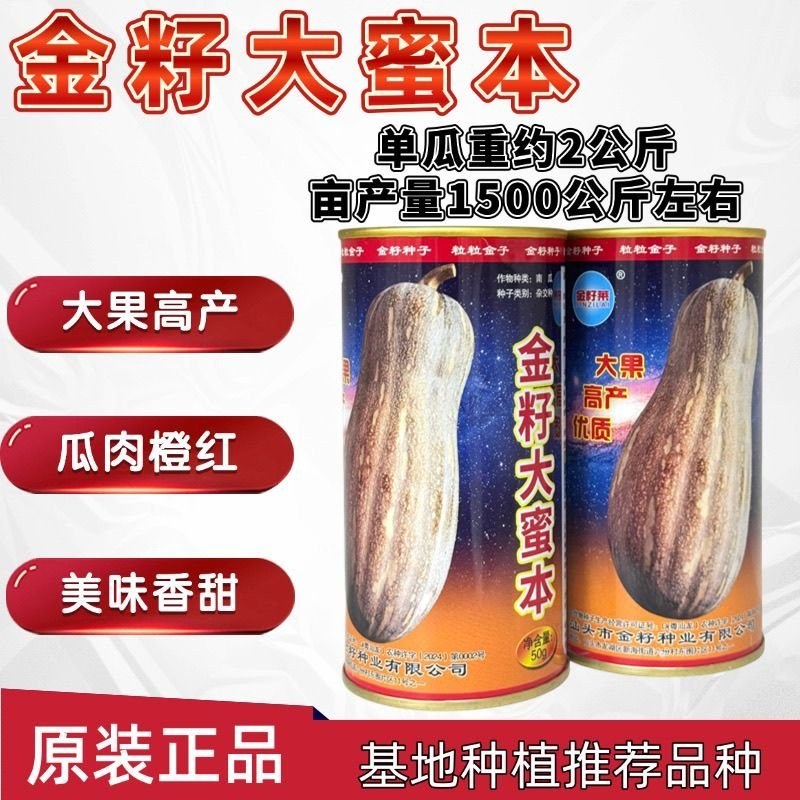 金籽大蜜本南瓜种子早熟大果蜜本南瓜种籽肉色橙红味甜抗病高