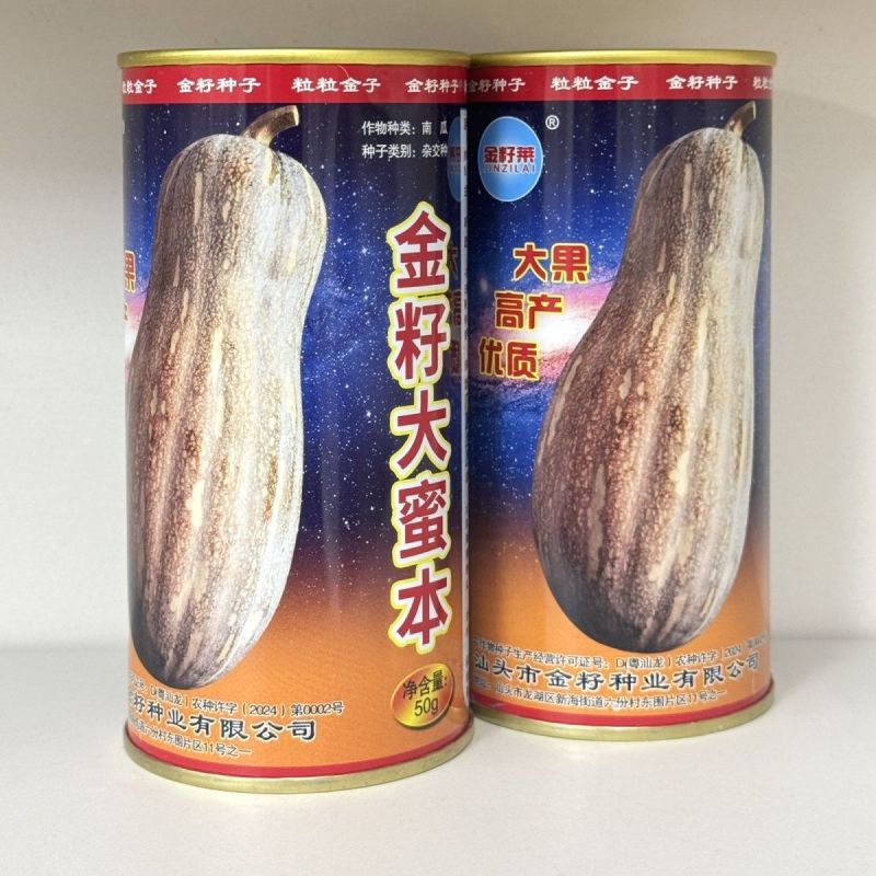 金籽大蜜本南瓜种子早熟大果蜜本南瓜种籽肉色橙红味甜抗病高