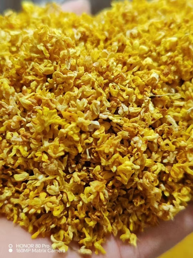 广西精品新鲜干桂花桂花干农副干货大量现货