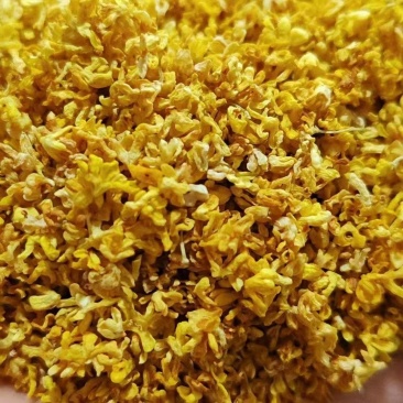 广西精品新鲜干桂花桂花干农副干货大量现货