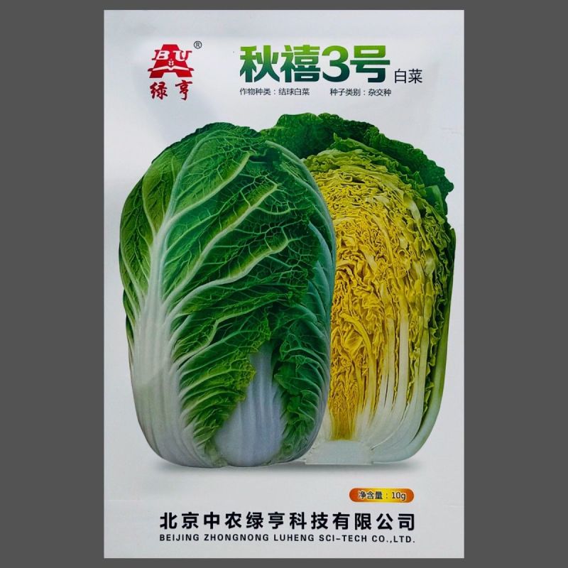 秋禧三号大白菜种子正宗早熟高产耐根肿病黄心大白菜大田基地