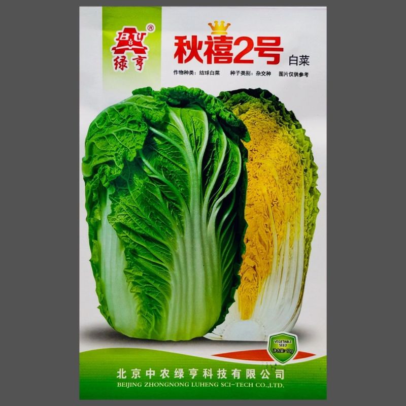秋禧二号大白菜种子正宗中熟高产抗病黄心大白菜种籽大田基地