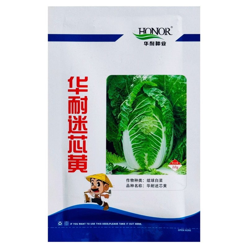 大白菜种子秋冬季黄心菜种籽华耐迷芯黄白菜种子中颗型白菜春