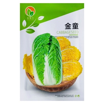大白菜种子高产黄心种籽金童早熟中颗型白菜黄芯菜包菜种子大