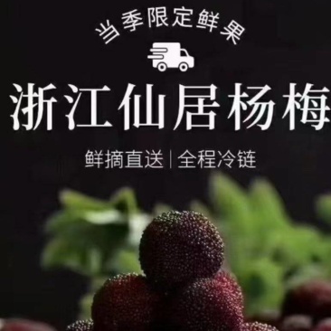 仙居杨梅，全国发货