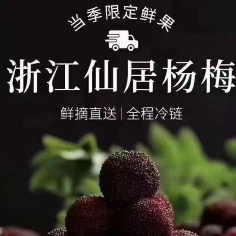 仙居杨梅，全国发货
