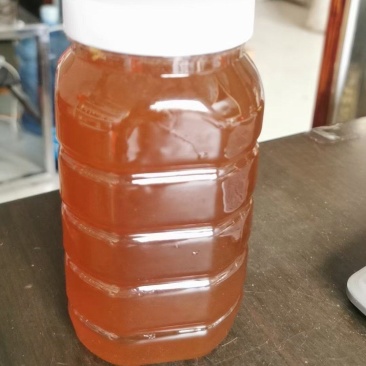 荔枝蜜纯正天然蜂农自产营养滋补新鲜原酿蜜