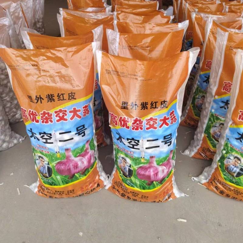 太空蒜种马集纯太空原种