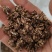 批发纯野猫爪草（一级货），不带毛的，一手货源，诚信经营！