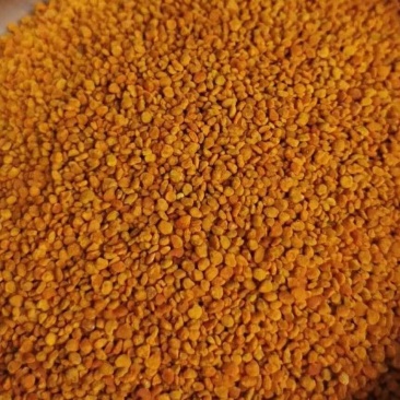 茶花粉天然新鲜蜂花粉大颗粒精品纯粉