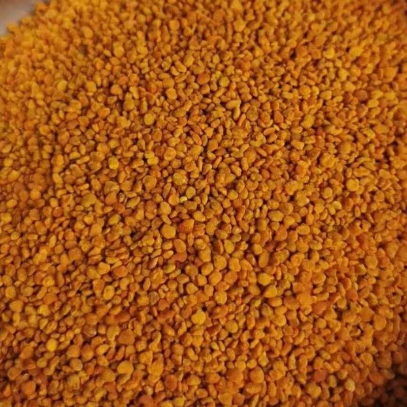 茶花粉天然新鲜蜂花粉大颗粒精品纯粉