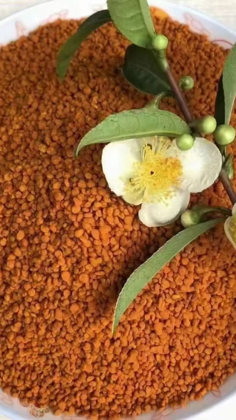 茶花粉天然新鲜蜂花粉大颗粒精品纯粉