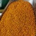 茶花粉天然新鲜蜂花粉大颗粒精品纯粉