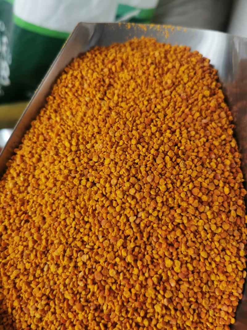 茶花粉天然新鲜蜂花粉大颗粒精品纯粉