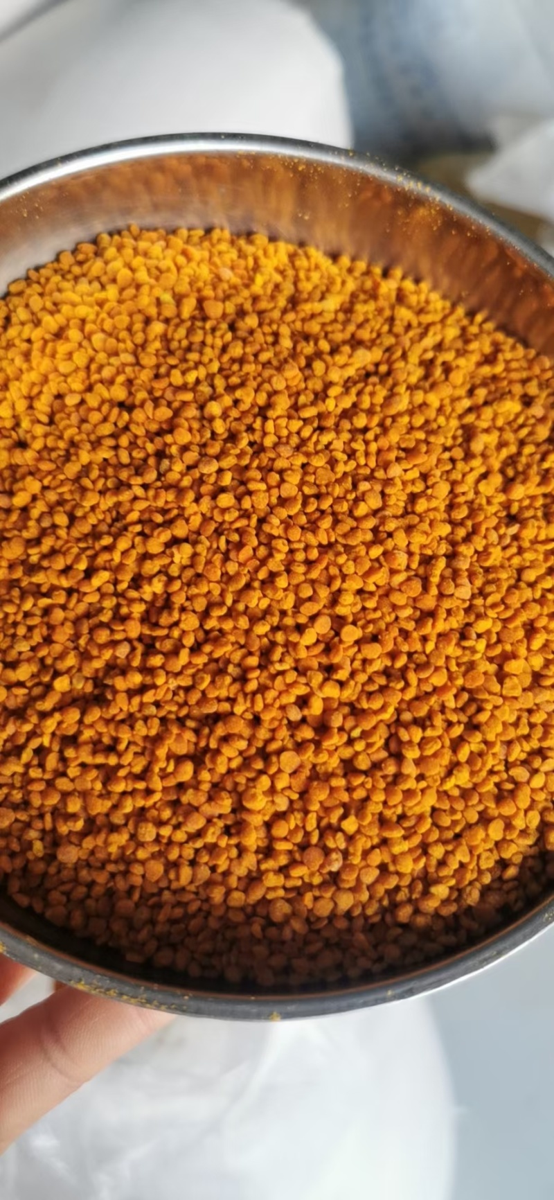 茶花粉天然新鲜蜂花粉大颗粒精品纯粉