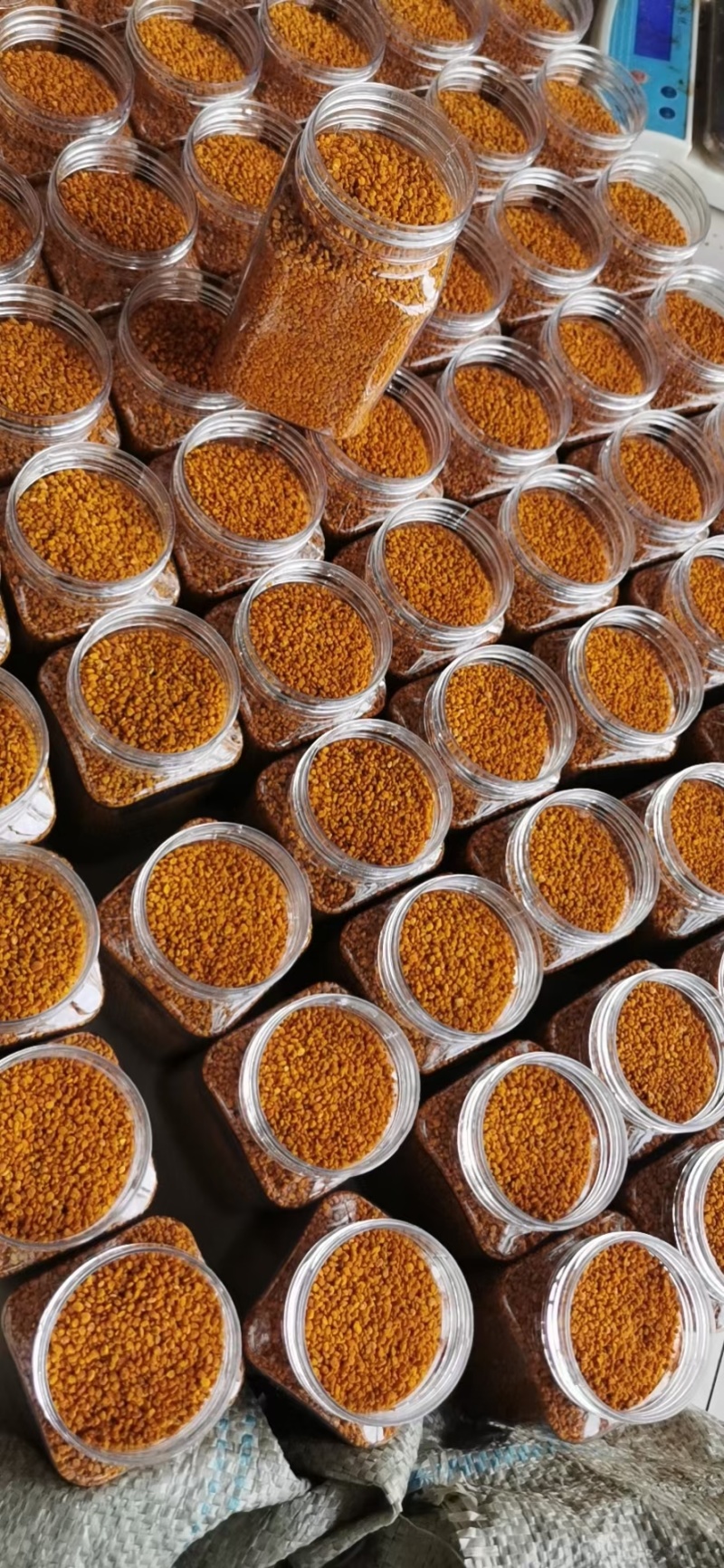 茶花粉天然新鲜蜂花粉大颗粒精品纯粉