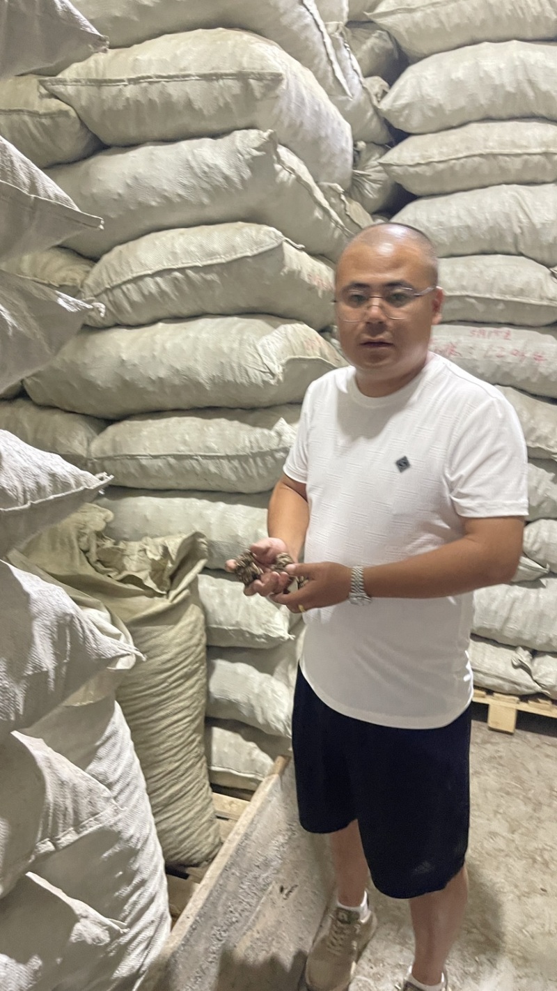 新货正品川芎彭山产地直发川芎无硫晒干整个子可切片