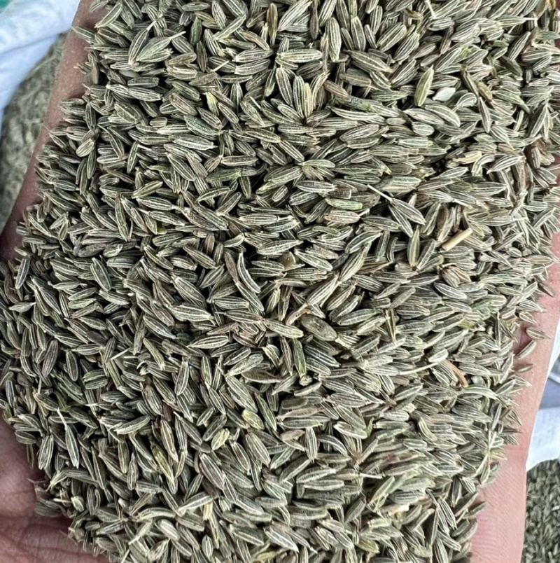 孜然颗粒新疆喀什半颗粒烧烤商用摆摊家用现磨孜然粉包邮批发