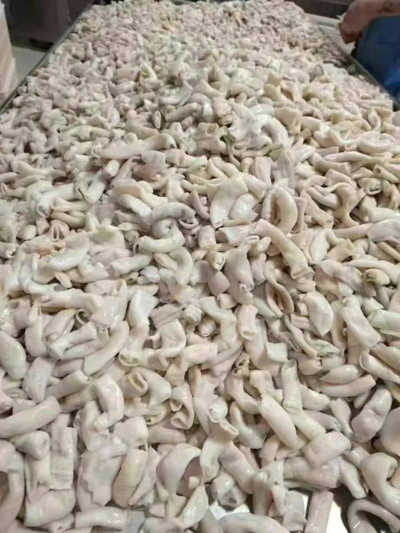 八成熟牛小肠干货牛杂煲牛肉汤锅烧烤爆炒餐饮批发