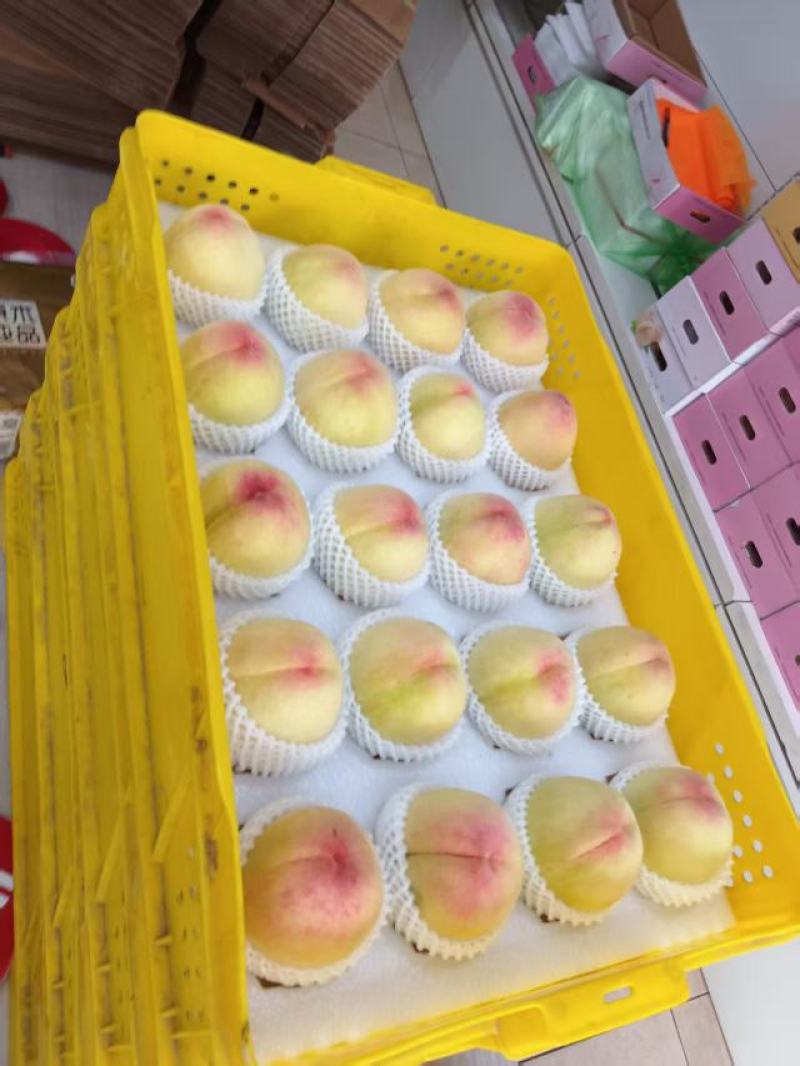 无锡阳山水蜜桃量大质优基地直销价格优惠一手货源