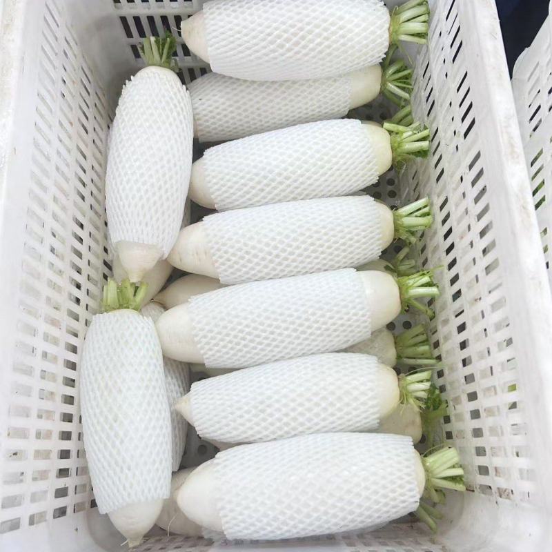 白萝卜寿光货量不多了先到先得。高货。