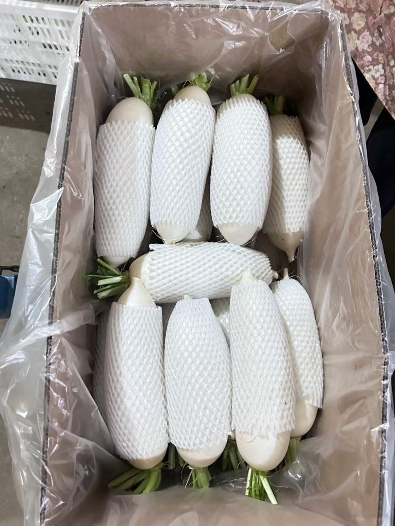 白萝卜寿光货量不多了先到先得。高货。