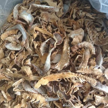 水煮笋干淡笋干
