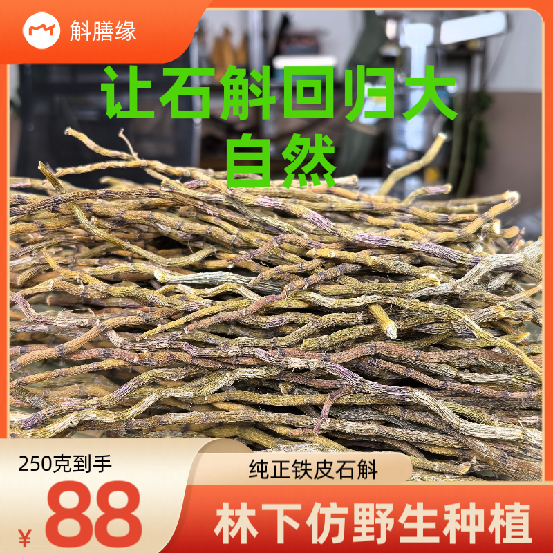 铁皮石斛烤条安徽霍山一级特级野外生长