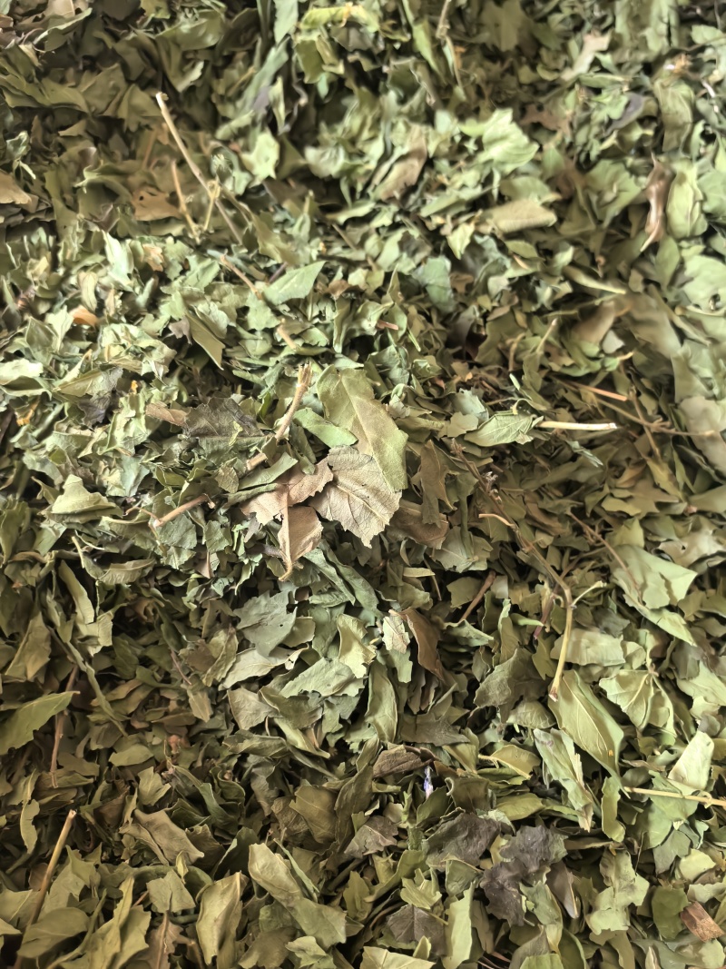 野生金银花绿叶，无农残原产地直发