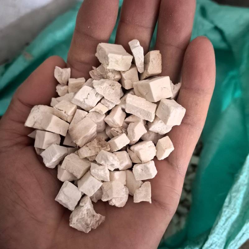 原产地直发规格齐全随时有货的茯苓健康之选