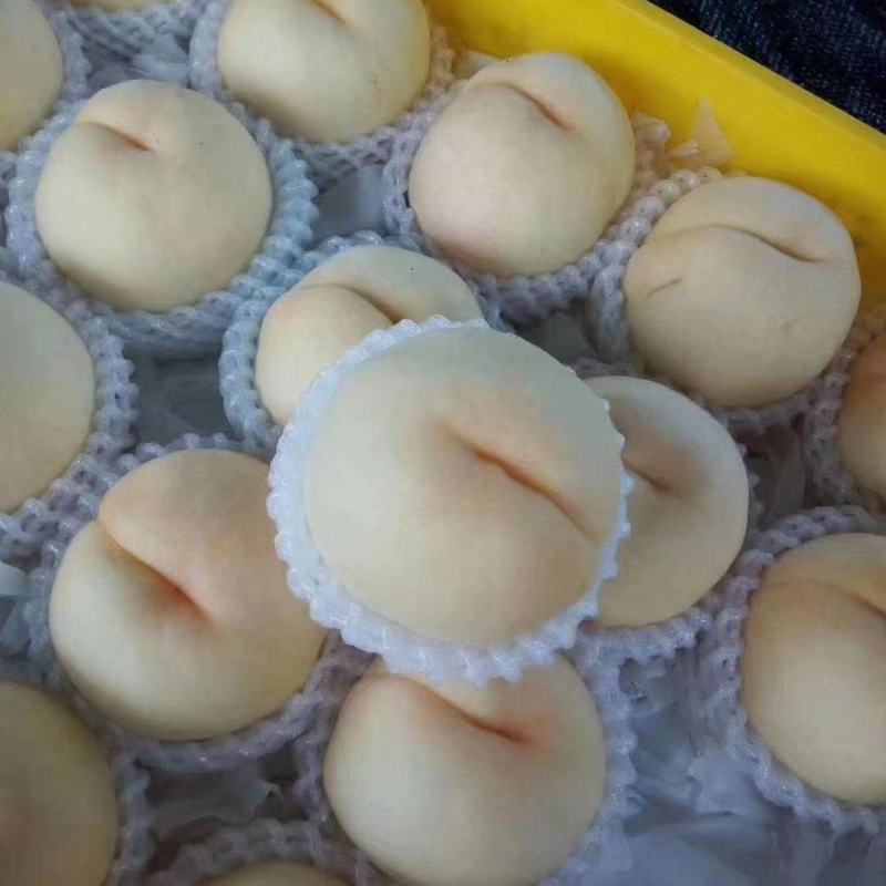 水蜜桃次果欢迎果汁厂联系