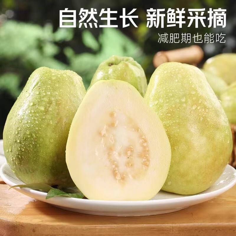 广西桂林精品白心芭乐番石榴口感软糯香甜果园直发一件代发