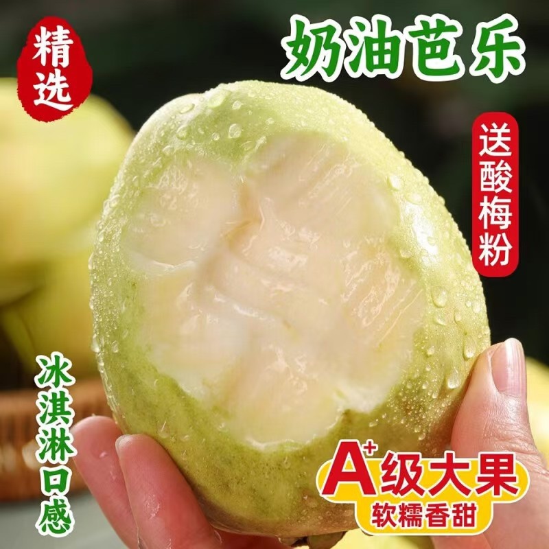 广西桂林精品白心芭乐番石榴口感软糯香甜果园直发一件代发