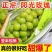 《正宗》陕西阳光玫瑰对接商超团购供应链现摘现发对接