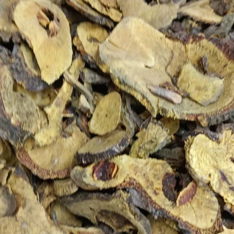 四川中药材虎杖一手货源质量保证对接全国发货