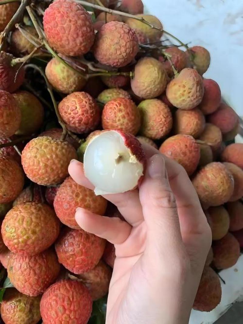 广东栛枝.，桂味，糯米糍。