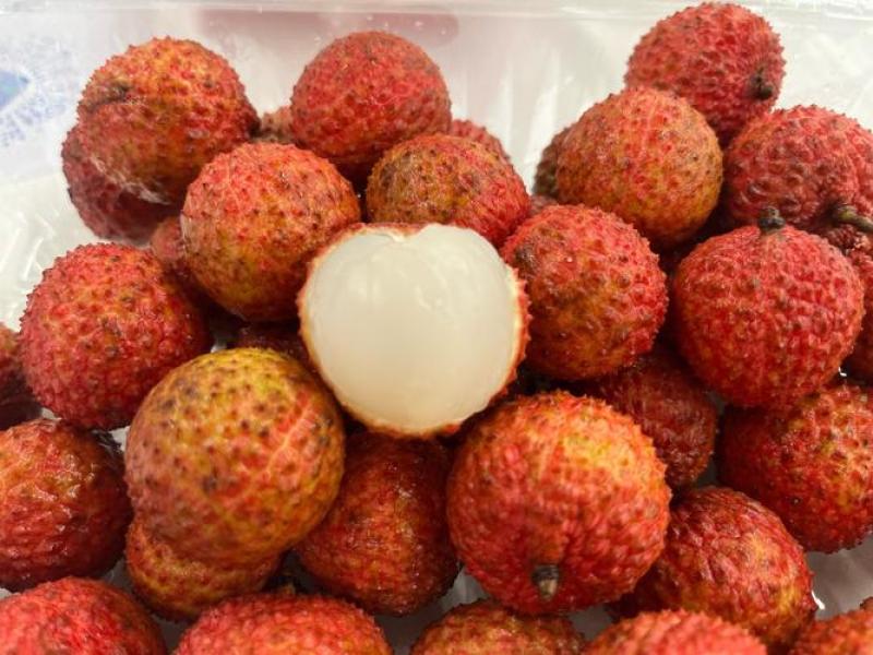 广东栛枝.，桂味，糯米糍。