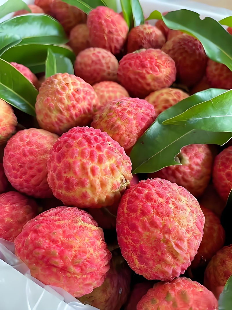 广东栛枝.，桂味，糯米糍。