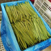 《绿扁豆》山西绿扁豆/四季豆/无筋豆/产地货源全国发货