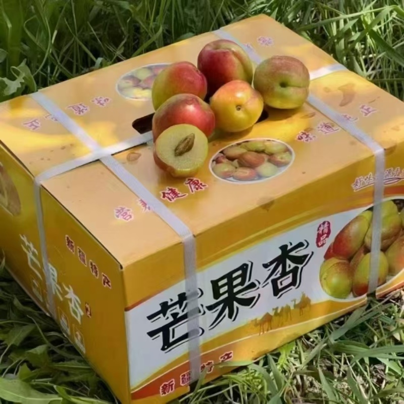 芒果杏新疆阿克苏产地直发