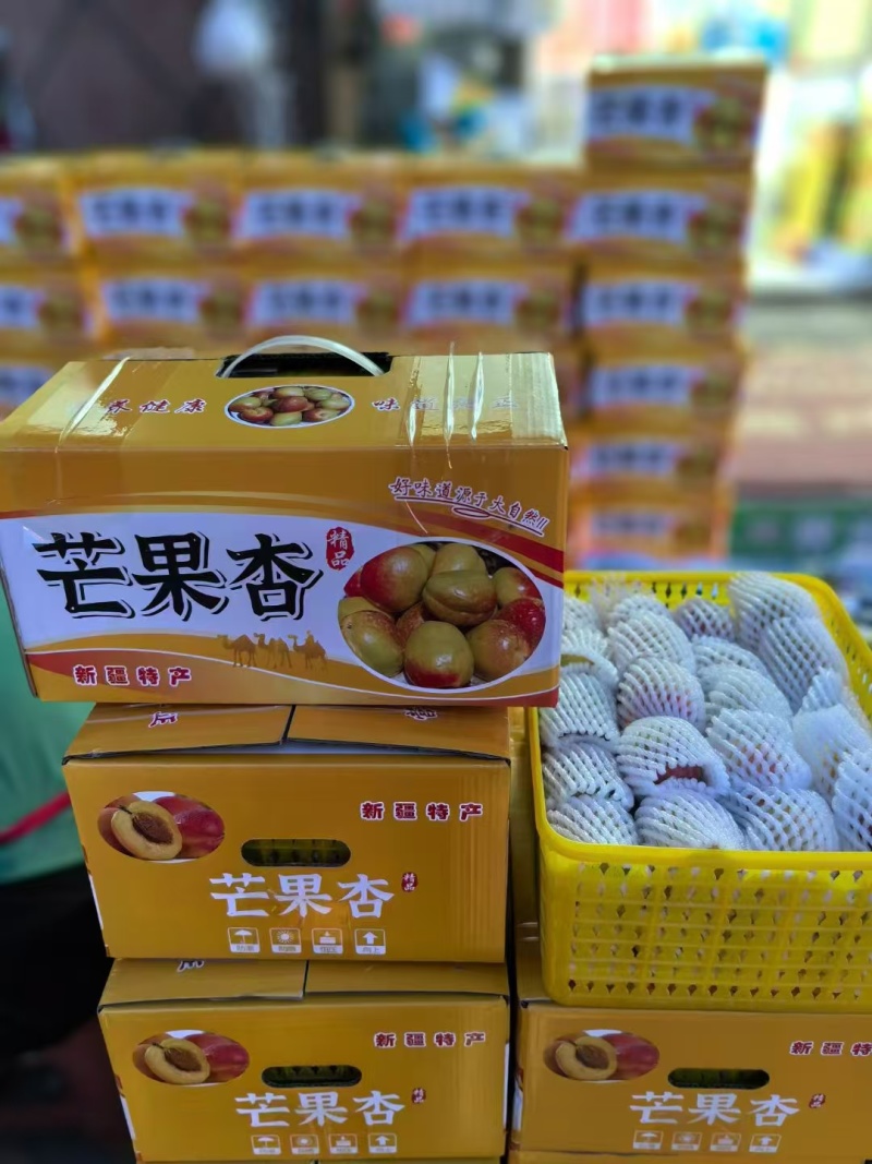 芒果杏新疆阿克苏产地直发