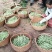 甘肃架豆王豆角大量有货品质优可视频看货