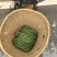 甘肃架豆王豆角大量有货品质优可视频看货