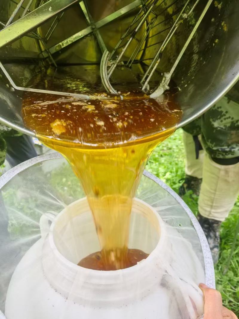 蜂桶寨百花蜜