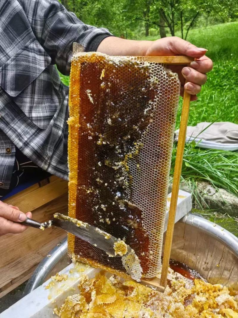 蜂桶寨百花蜜