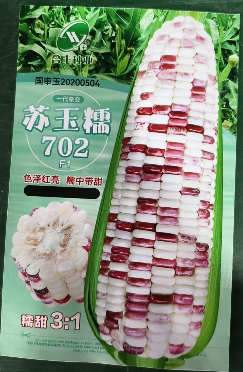苏玉糯702-糯玉米种子糯中带甜高产非转基因一代杂交