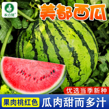 秀美美都西瓜-西瓜种子中熟皮薄韧性强高产甜度高脆嫩多汁