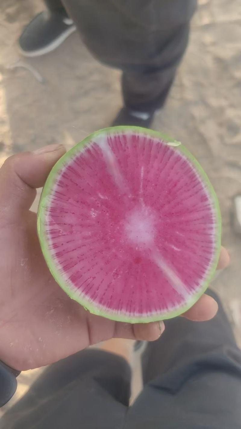 大量供应精品水洗，电商平台超市档口一手货源